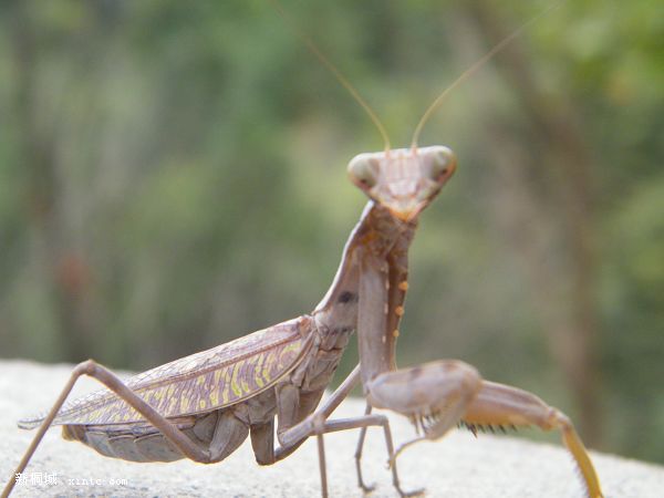 DSCF2415.jpg