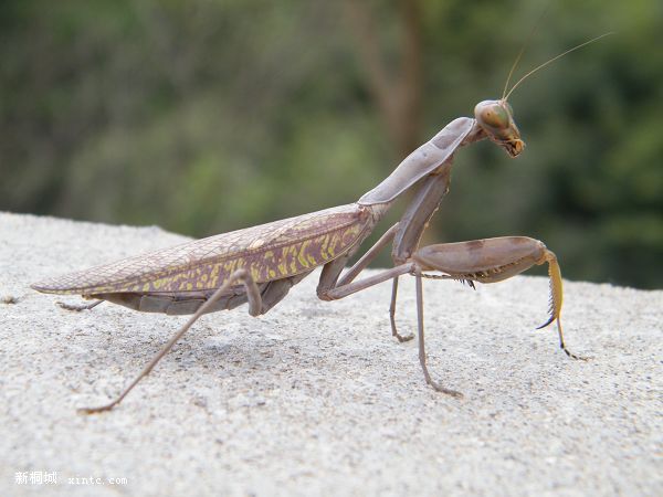 DSCF2411.jpg