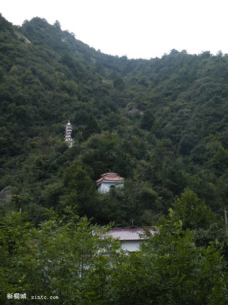 DSCF2377.jpg