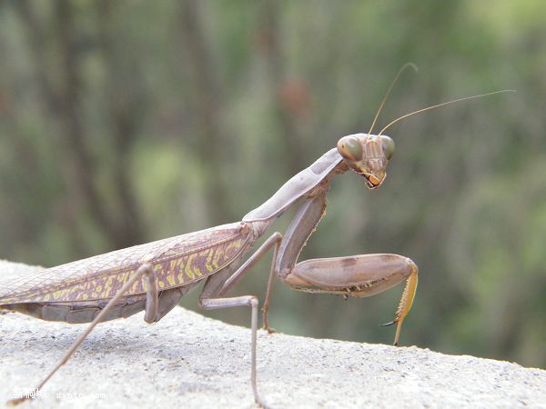 DSCF2412.jpg