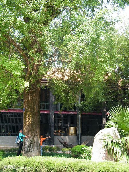 DSCF2701.jpg