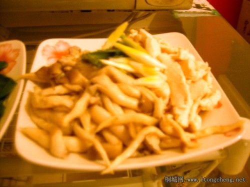 SUC50660_conew1.jpg