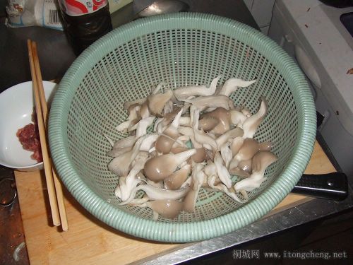 Ƭ 094.jpg