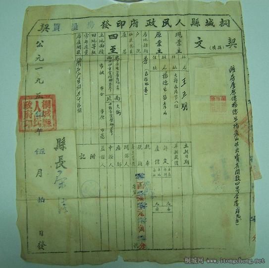 ���ݵ���