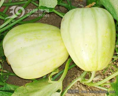 Melon.jpg