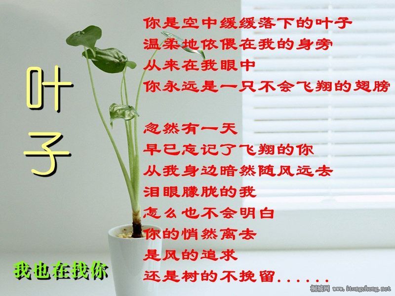 0cfe8658811542c79c820482.jpg