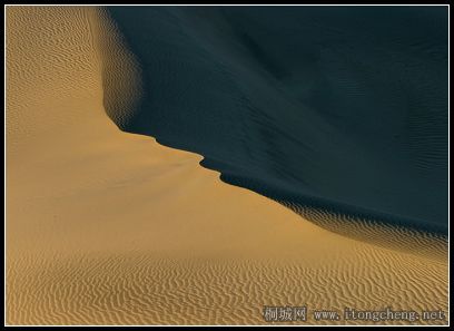 ޱ.jpg