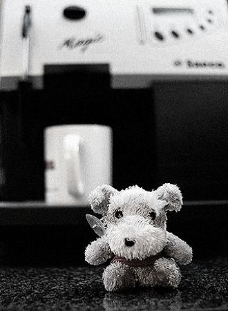 0407-3.jpg