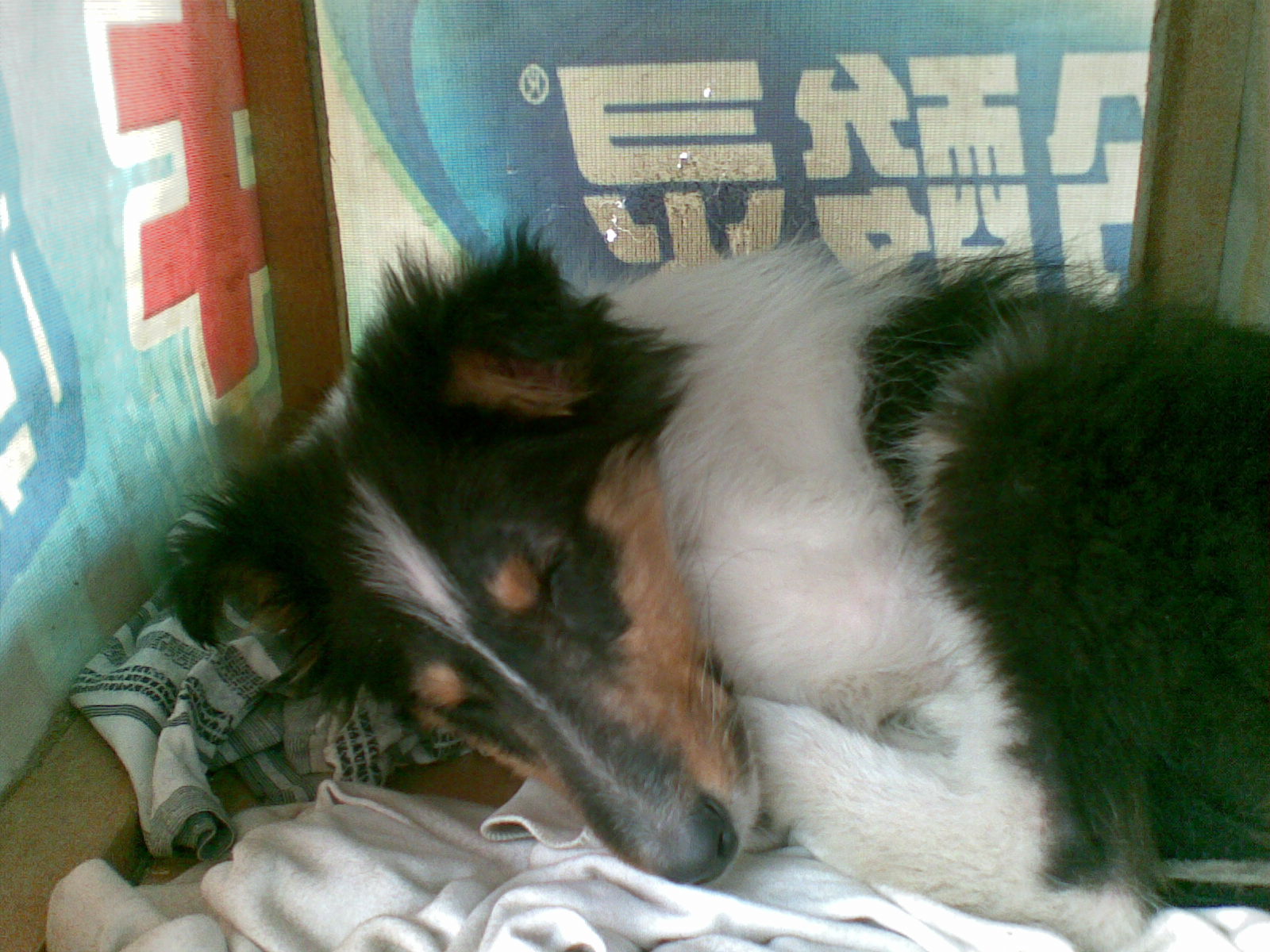 �Ȳ�ɹ���Լ���ɹɹ���Ĺ���