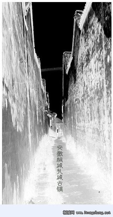 20090430_9604812240b78a526f44sxwDKpPeyGJn.jpg