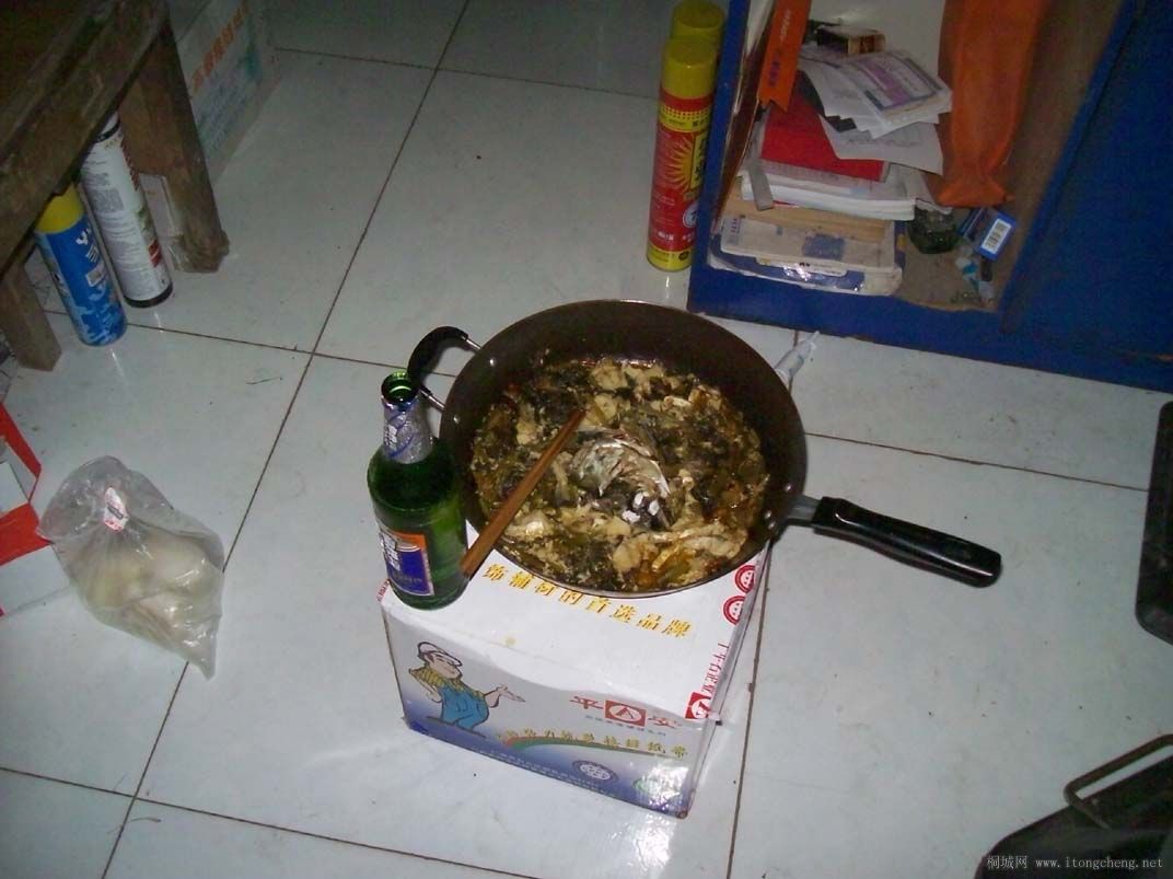 Ƭ 224.jpg