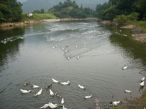 4P1010220.JPG