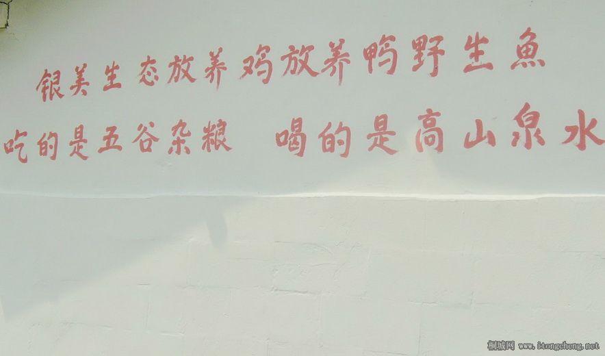 16P1010109.JPG