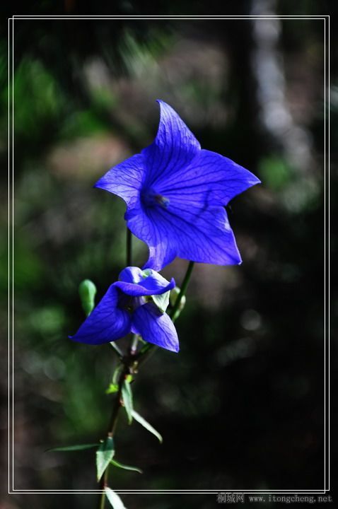DSC_0819.jpg