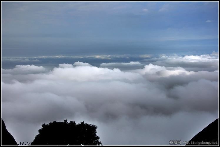 DSC_0355.jpg