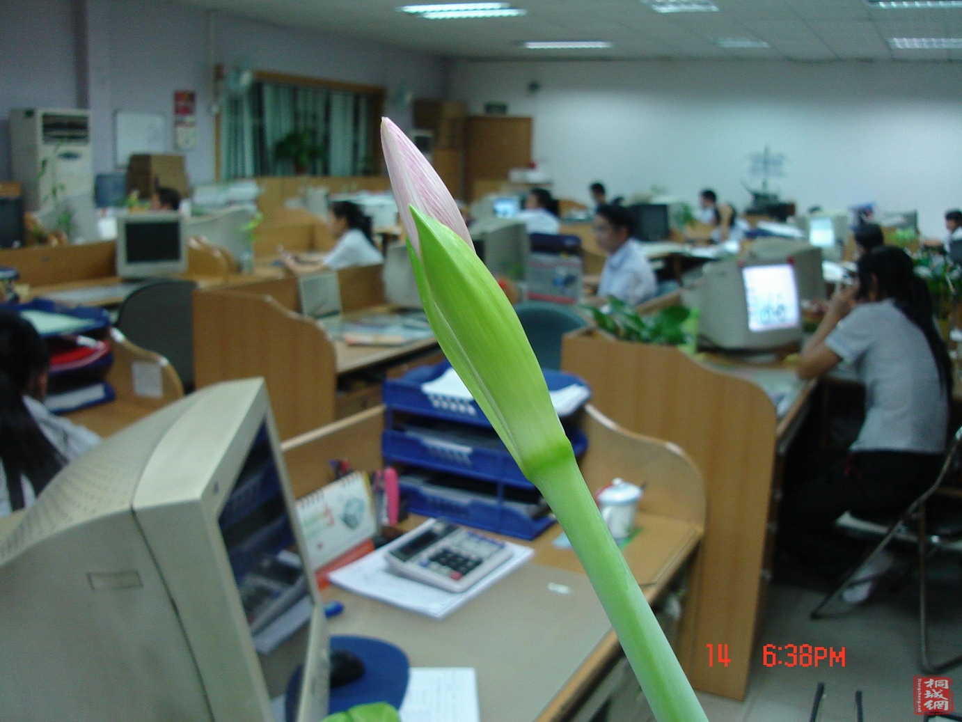 DSC05578.jpg