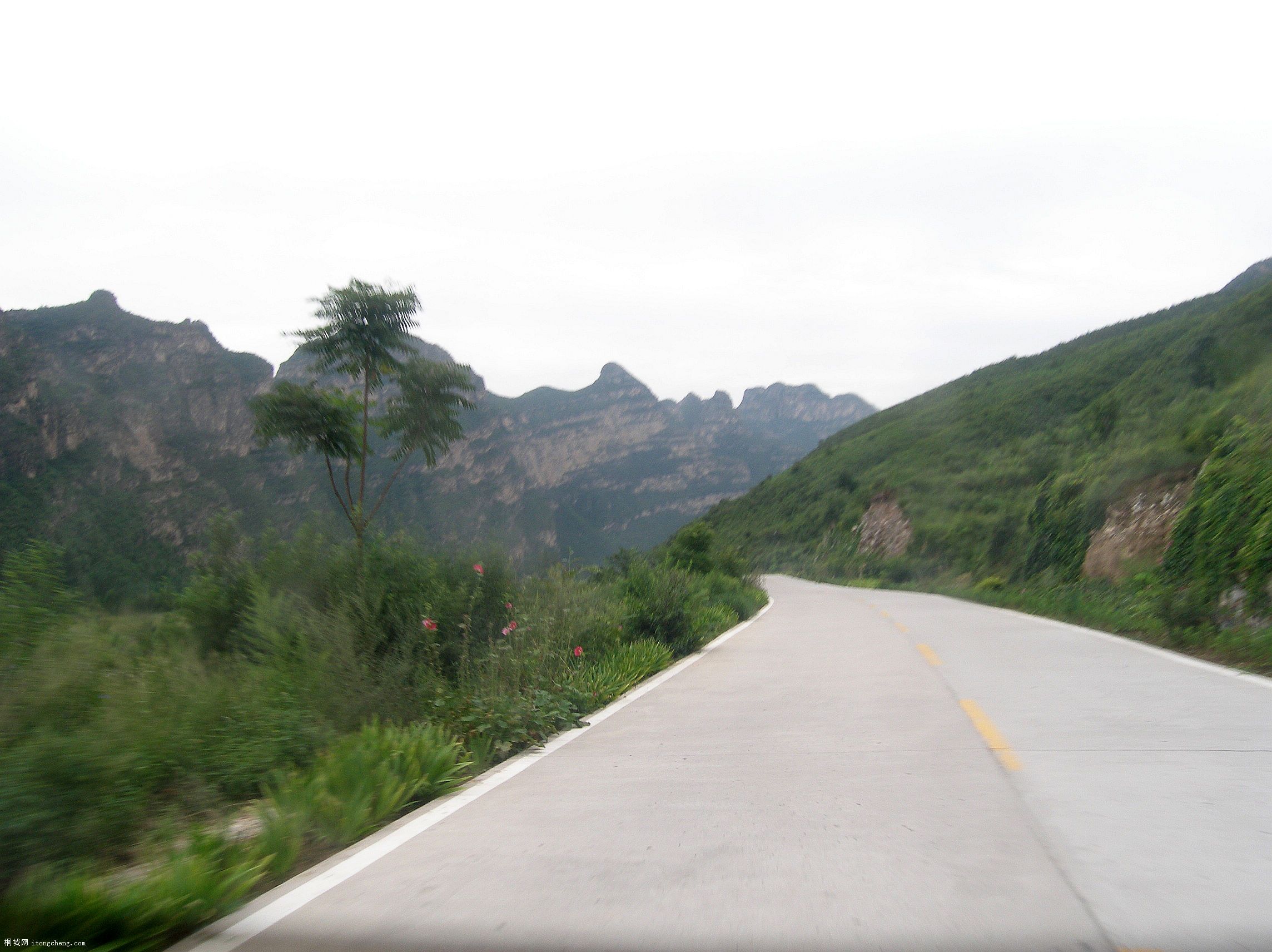 P8221825.JPG