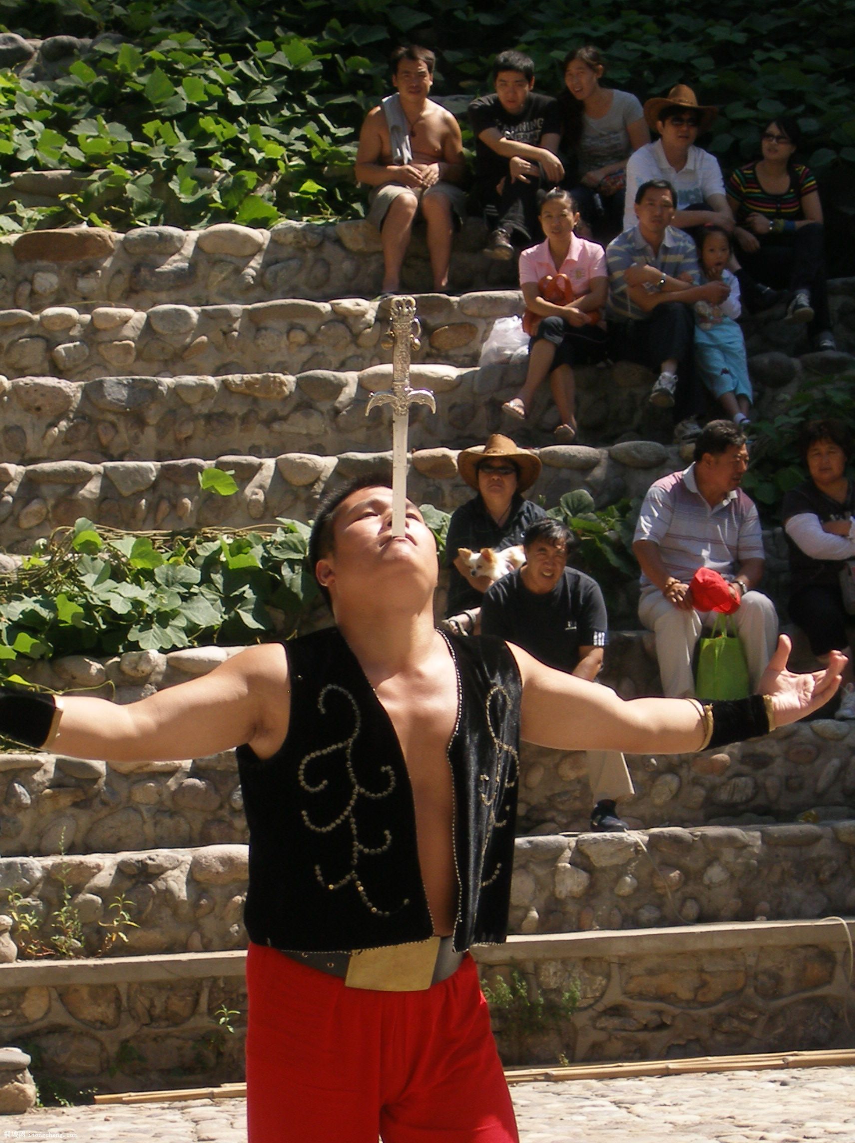 P8222148.JPG
