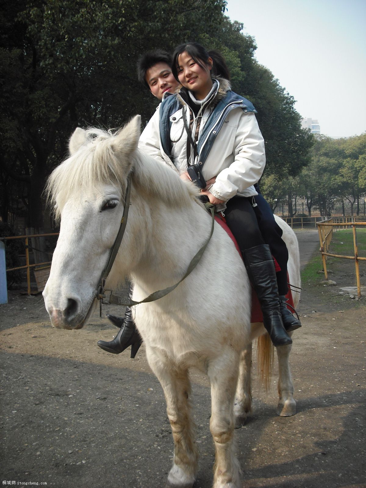 DSCF5016.JPG