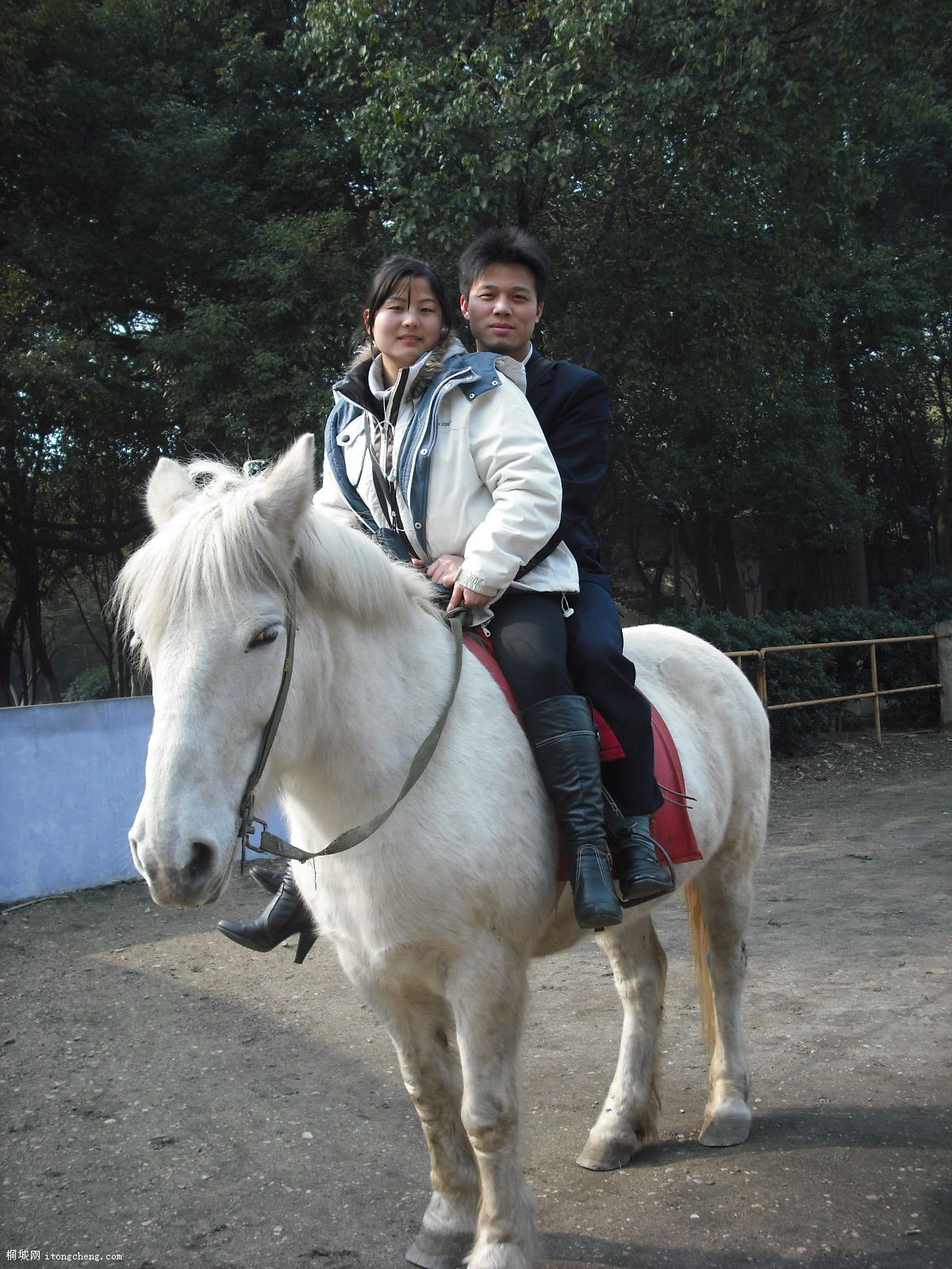 DSCF5015.JPG