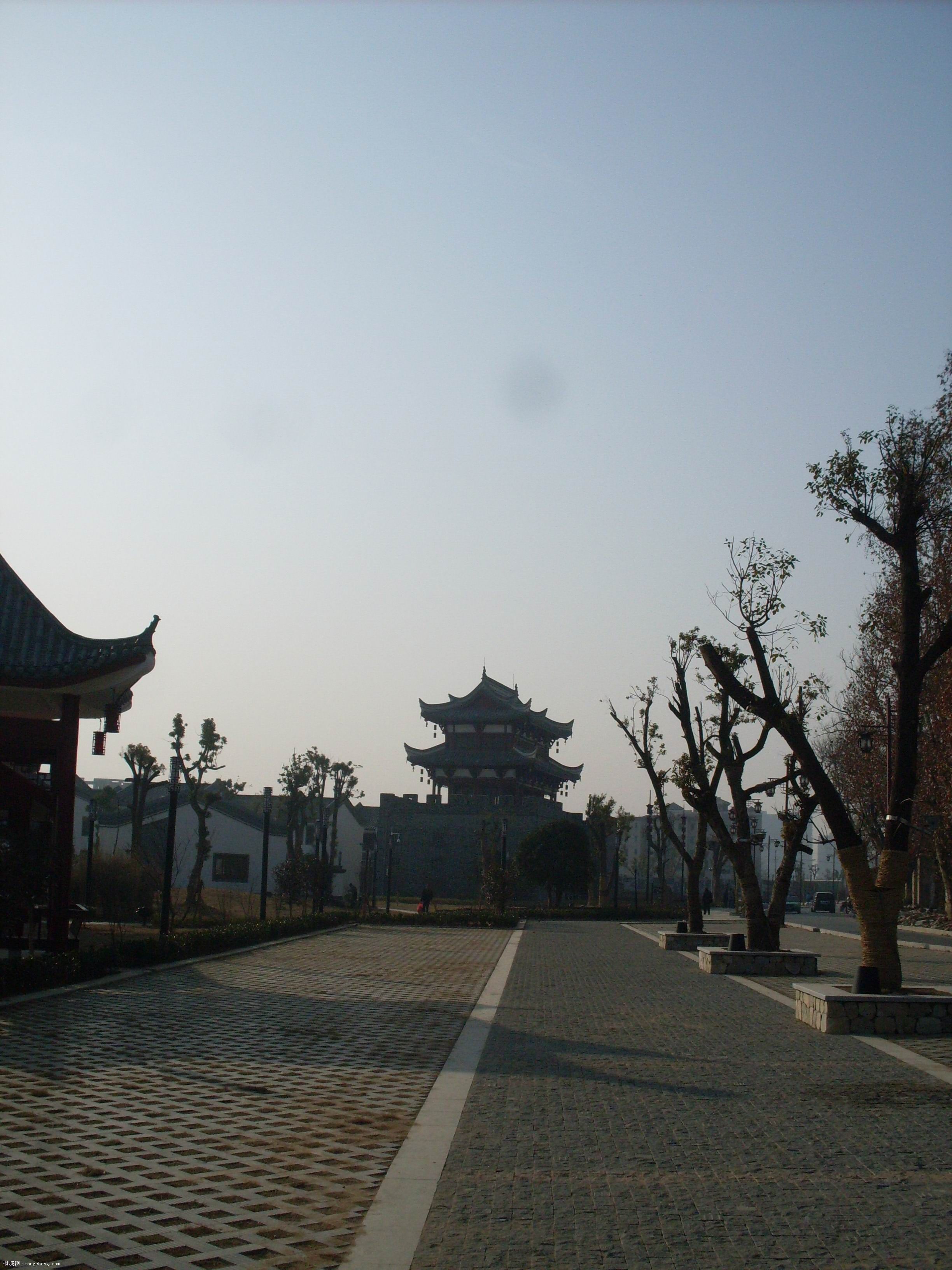 SDC10021.JPG