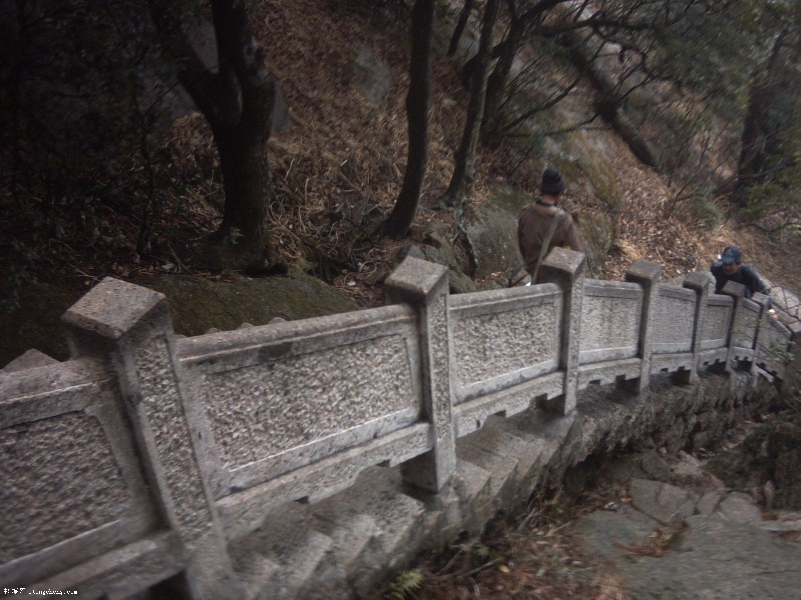 PICT0435.JPG