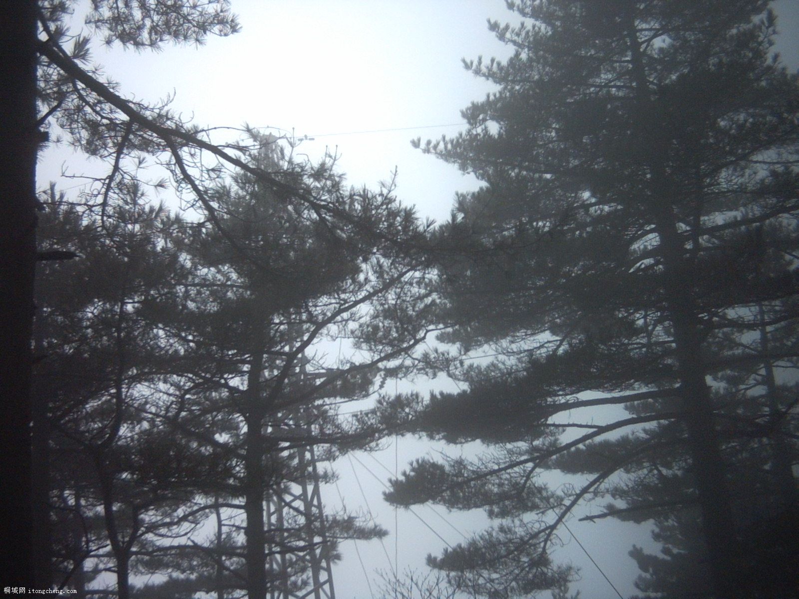 PICT0442.JPG