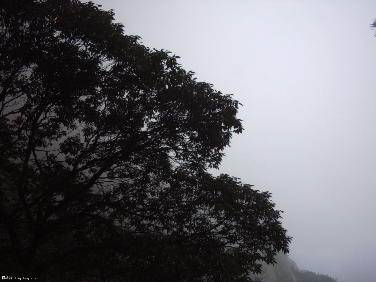PICT0434.JPG