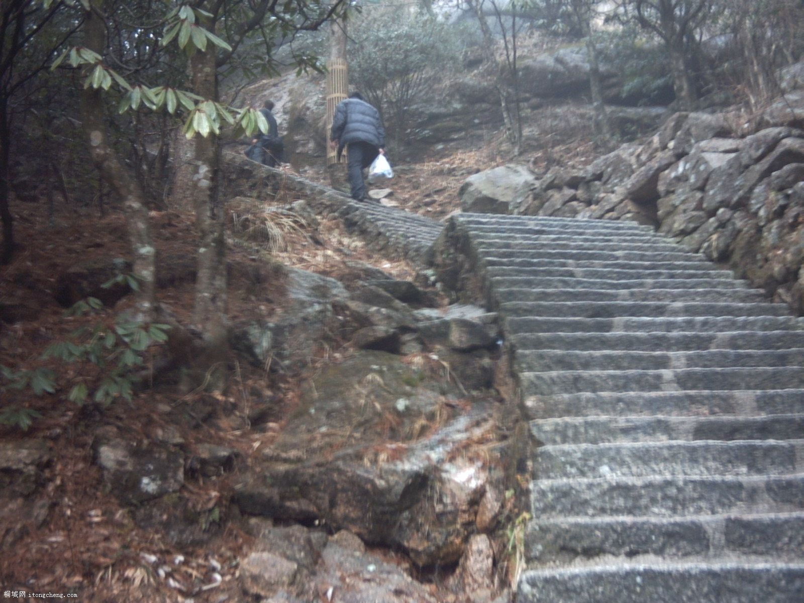 PICT0438.JPG