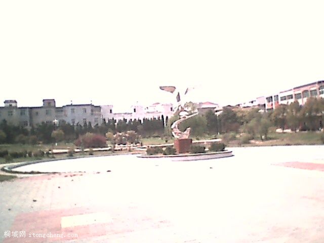 IMG0298A.jpg