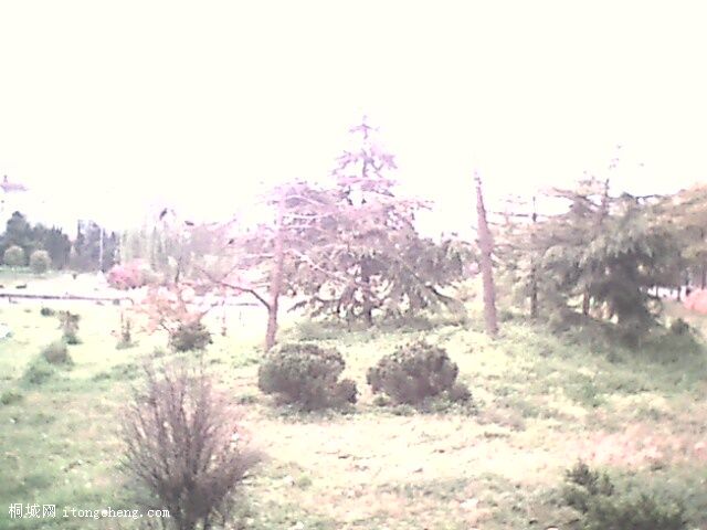 IMG0300A.jpg
