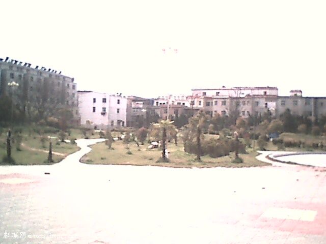 IMG0299A.jpg