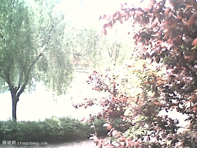 IMG0304A.jpg