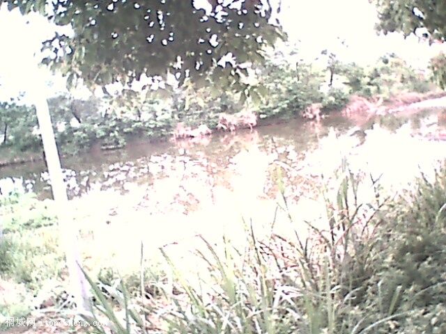 IMG0316A.jpg