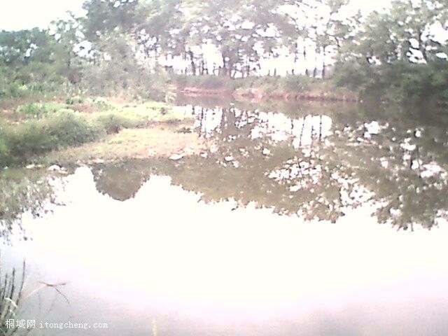IMG0321A.jpg
