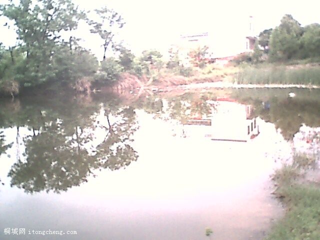 IMG0322A.jpg