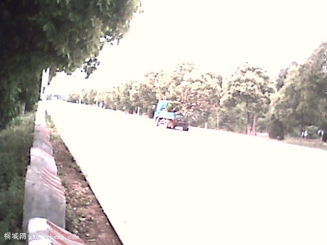 IMG0318A.jpg