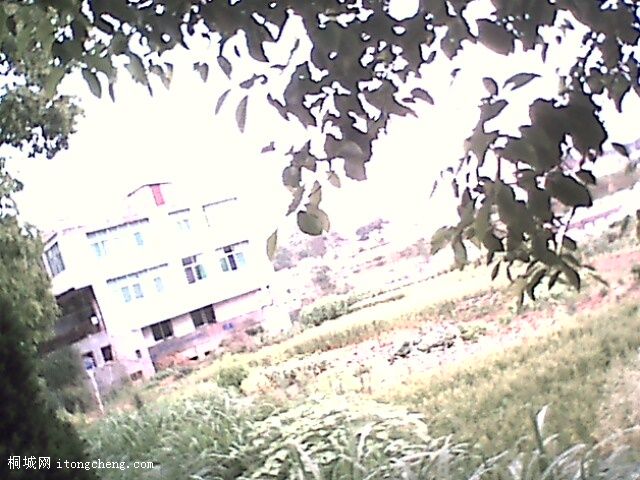 IMG0325A.jpg