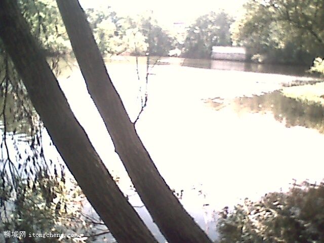 IMG0341A.jpg