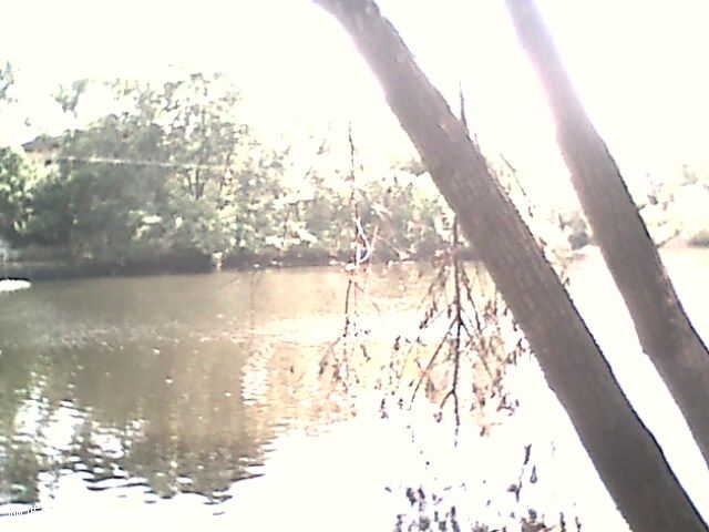 IMG0343A.jpg