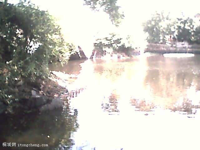 IMG0342A.jpg