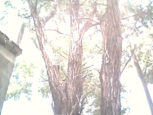 IMG0344A.jpg