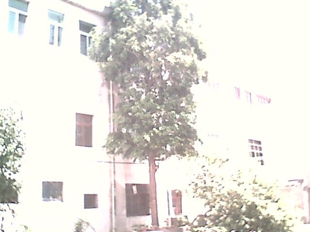 IMG0345A.jpg