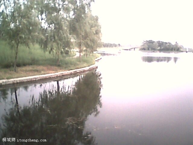 IMG0370A.jpg