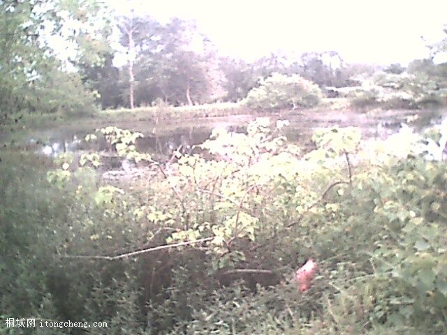 IMG0375A.jpg