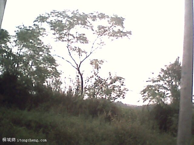 IMG0377A.jpg