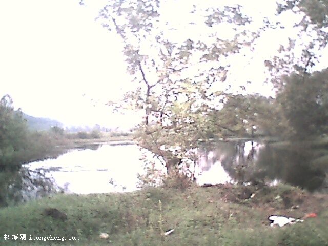 IMG0376A.jpg