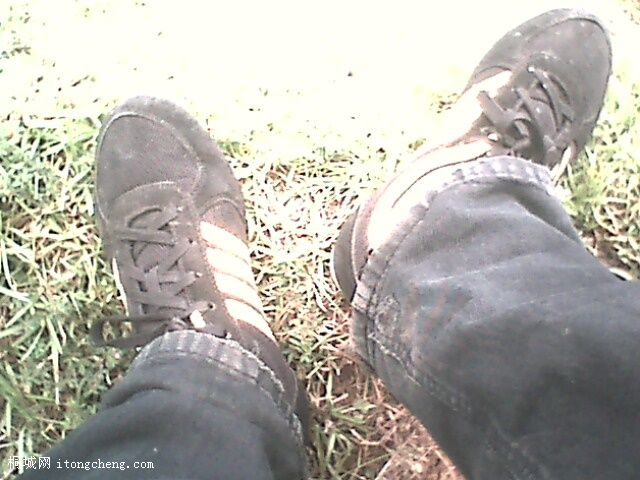 IMG0378A.jpg