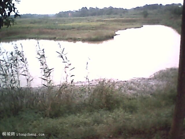 IMG0379A.jpg