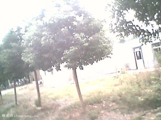 IMG0383A.jpg